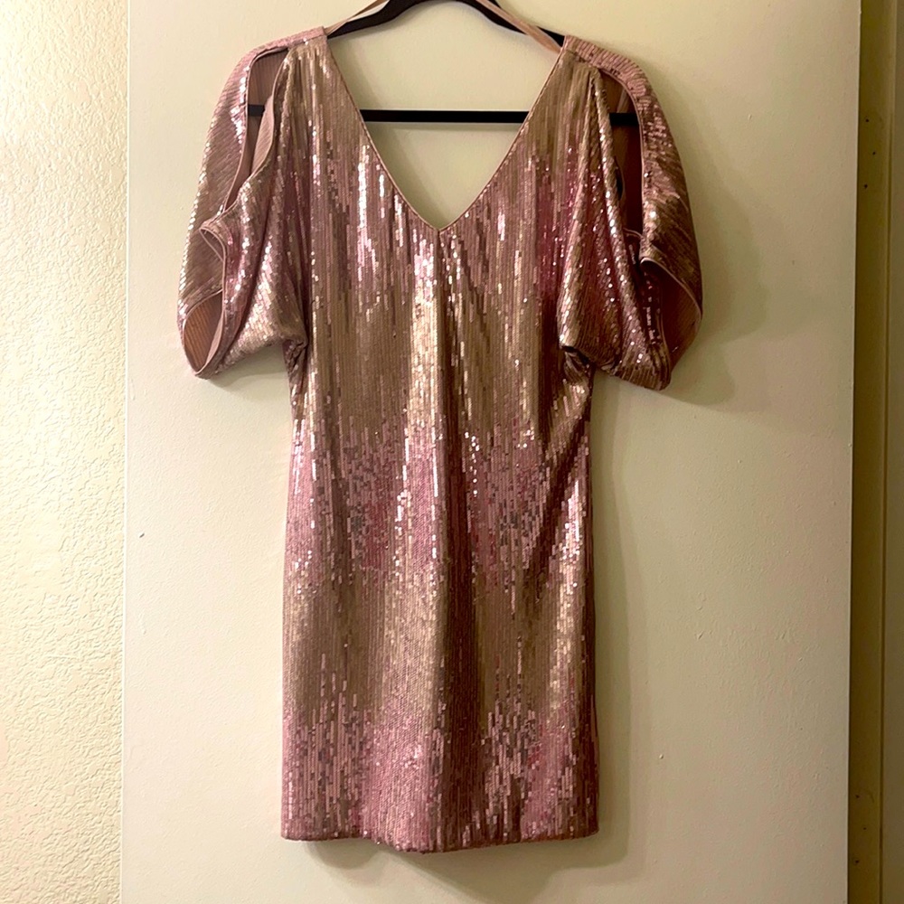 Slip on dress, blush and sequins